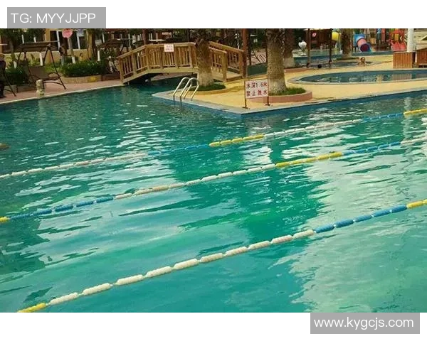 乒乓球的热爱与坚持:赵伟的运动人生深度探讨与回顾 乒乓球的热爱与坚持:赵伟的运动人生深度探讨与回顾