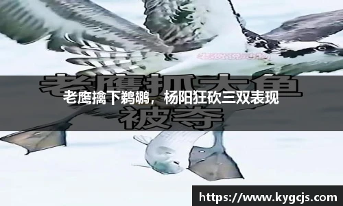 老鹰擒下鹈鹕，杨阳狂砍三双表现